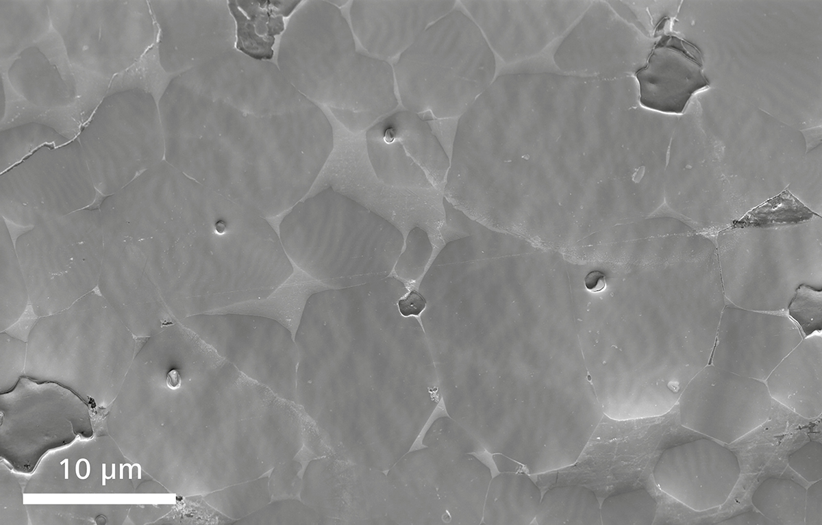 场发射宿州扫描电镜