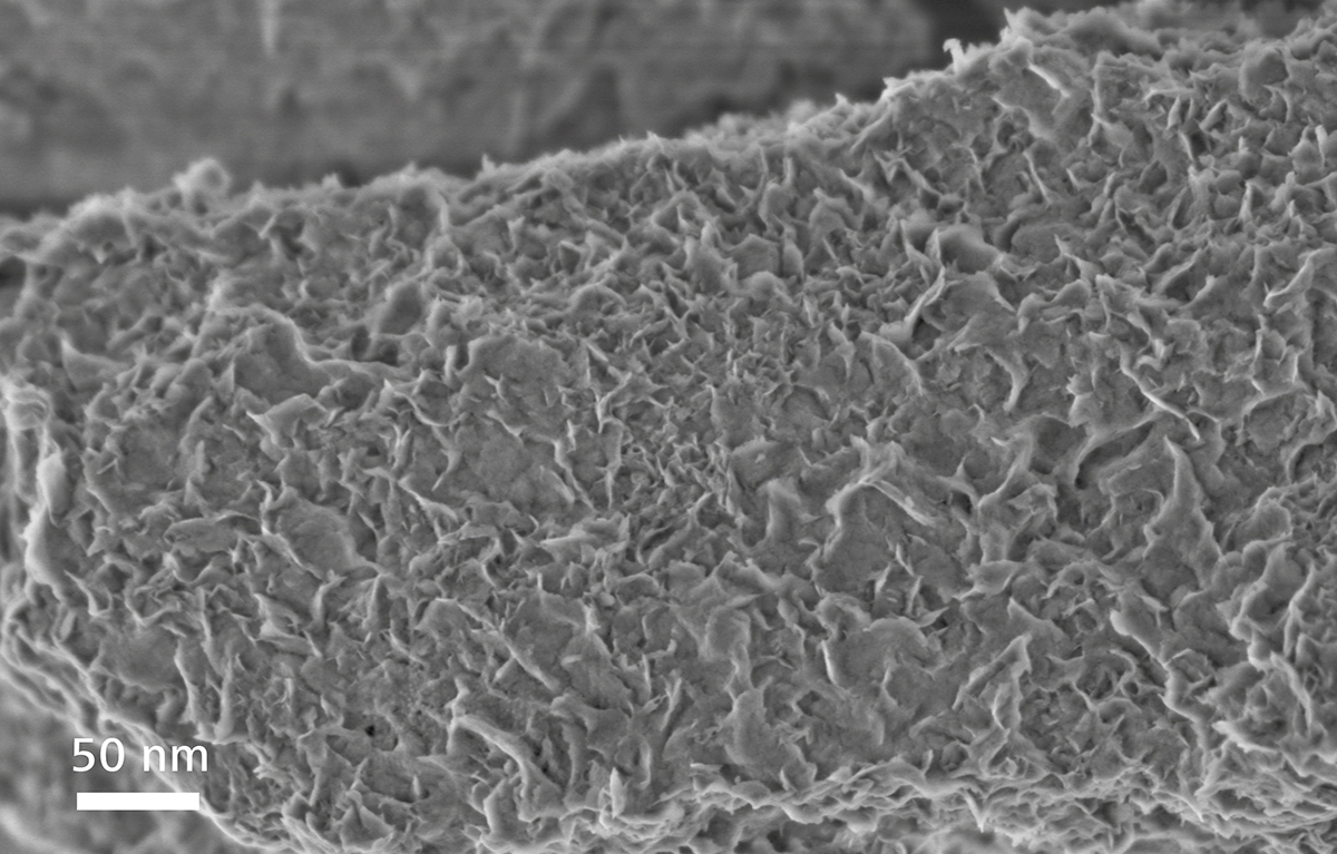 场发射宿州扫描电镜