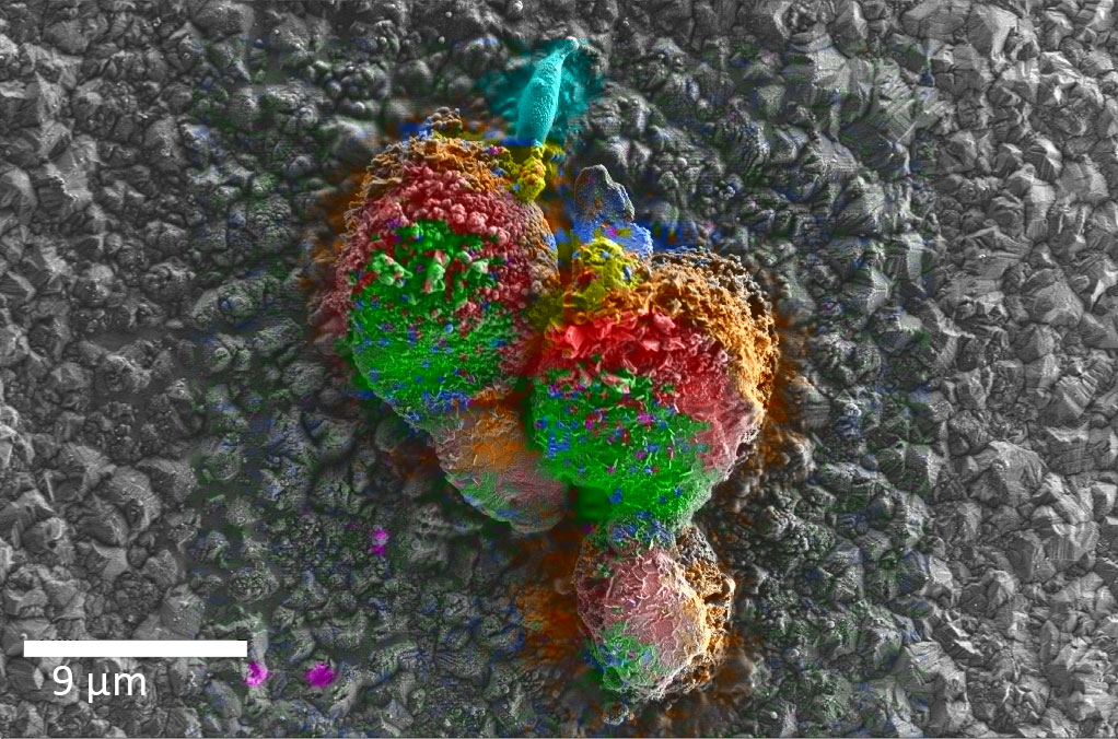 宿州宿州蔡司宿州扫描电镜