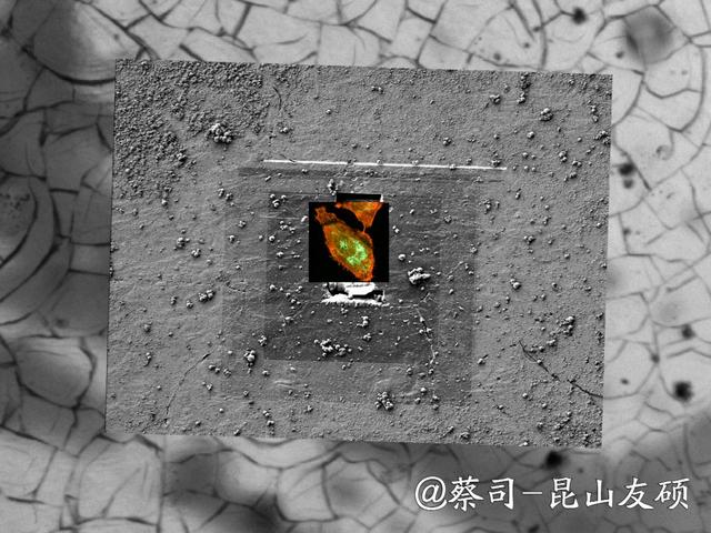 宿州宿州蔡司宿州扫描电镜