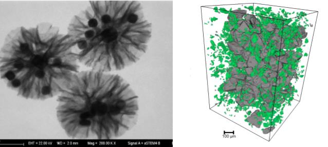 宿州宿州蔡司宿州扫描电镜