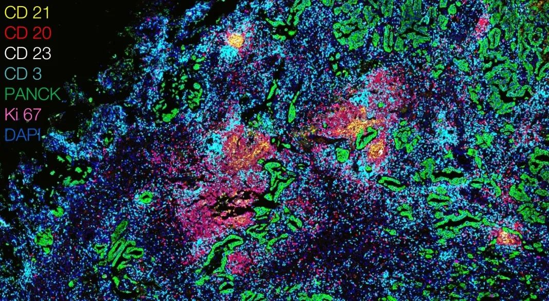 宿州宿州蔡司显微镜